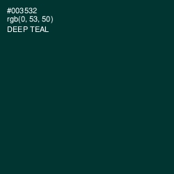 #003532 - Deep Teal Color Image